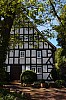 vormwald 2 - (c) a boecking.jpg